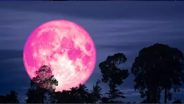 İlkbaharın ilk dolunayı! Pembe ay o tarihte görülecek