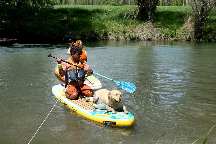 Yol arkadaşı “Ateş Bey” ile serin sularda 8 yıldır kürek çekiyor