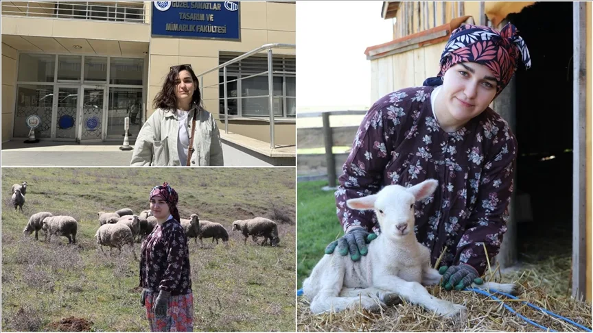 Üniversiteli Büşra, okuldan arta kalan zamanlarında çiftçilik yapıyor