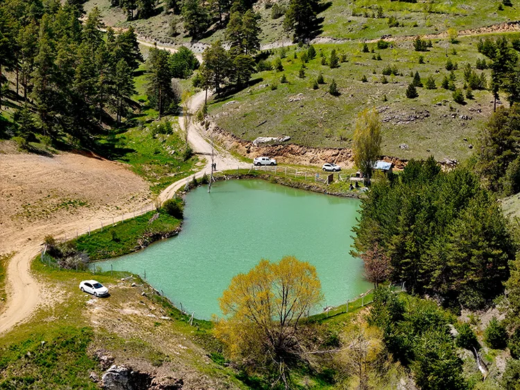 Yozgat’ta 1800 rakımdaki Çerçialan Göleti doğaseverleri ağırlıyor
