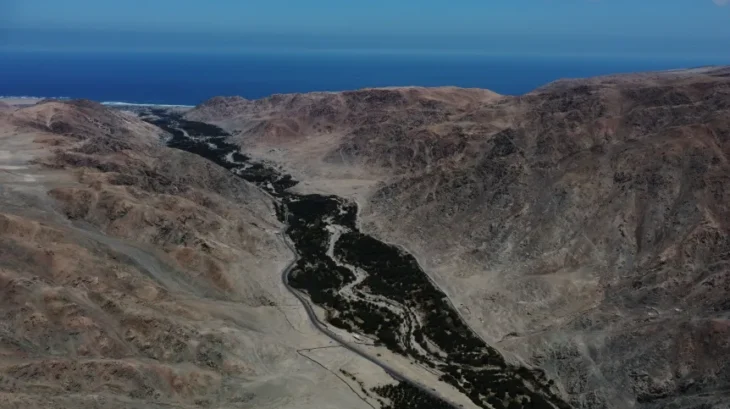 Peru’daki 1000 Yıllık Toplu Mezar, Kurbanların Yıldız Başlı Topuzlarla Dövüldüğünü Gösteriyor