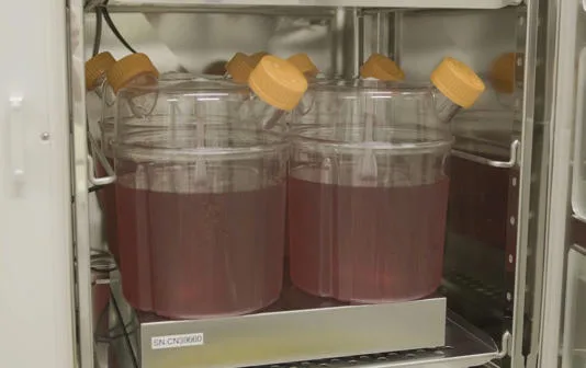 Sınırsız laboratuvarda yetiştirilen kan yakında gerçeğe dönüşebilir