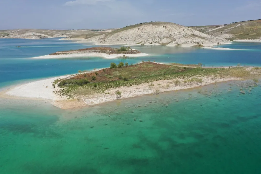 Martıların favori mekânı: Adıyaman’ın ‘Martı Adası’