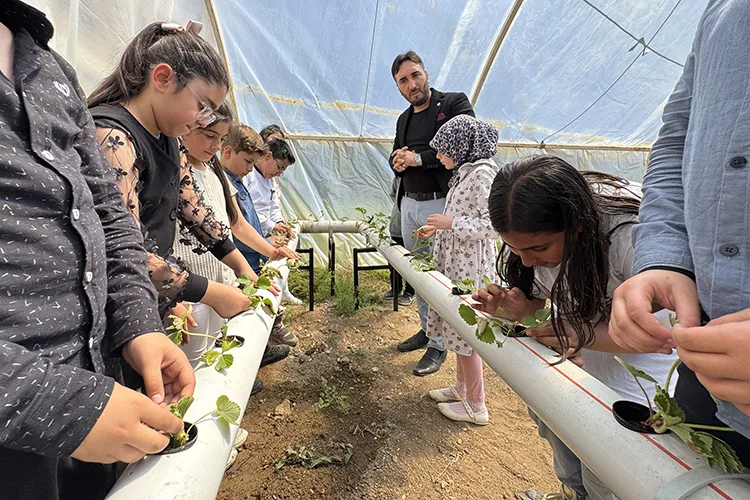 Öğrenciler okul bahçesinde kurulan serada topraksız tarım yöntemlerini öğreniyor
