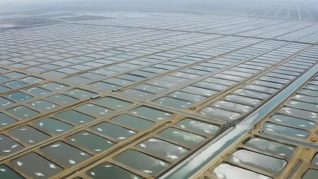 Dünyada bir ilk: Adana’da Su Ürünleri Organize Tarım Bölgesi kurulacak