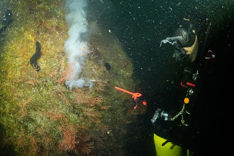 Marmara Denizi’nde çalışma yapan dalgıçlar, mercanları müsilajdan temizledi