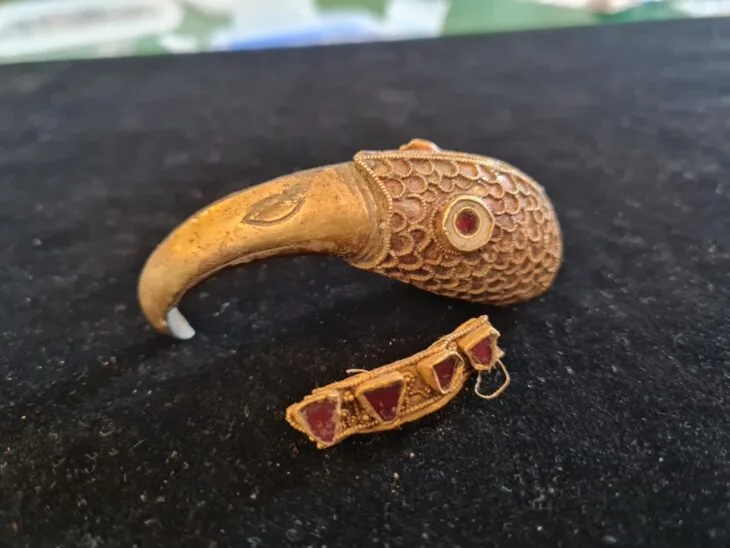 Wiltshire’da Keşfedilen Nadir Anglo-Sakson Altın ve Granat Eserleri