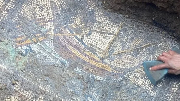 Papa XIV. Aslan Tarihi Ziyarete Hazırlanırken İznik’te Ortaya Çıkarılan Eski Hıristiyan Mozaikleri