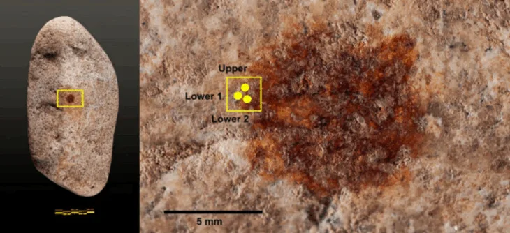 50.000 Yıllık Çakıl Taşındaki Neandertal Parmak İzi, Avrupa’nın En Eski Taşınabilir Sanat Eseri Olabilir