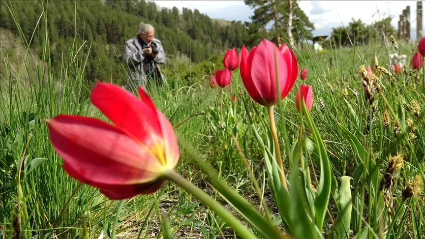 Kars’taki “eko turizm” alanında hafta sonu yoğunluğu yaşandı