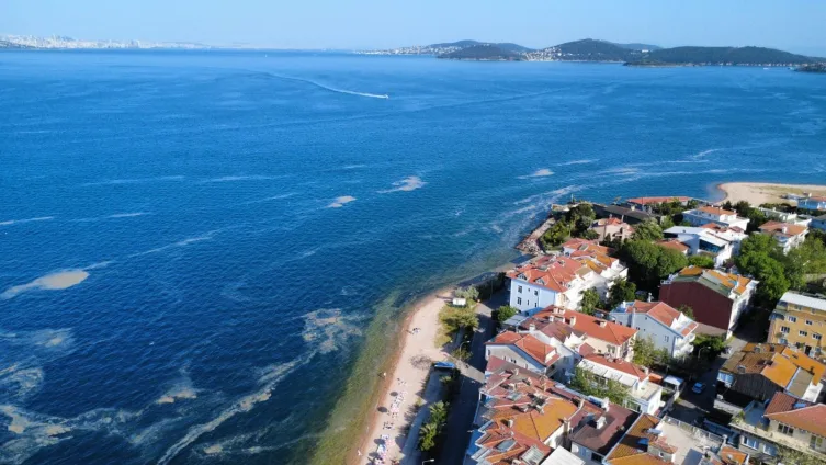 Kınalıada açıklarında “müsilaj” alarmı