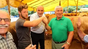 Samsun Canik’te Kurbanlık Hayvan Pazarı Açıldı