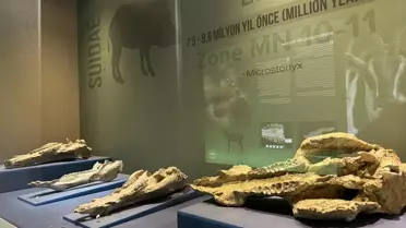 Çankırı Müzesi’ne İlgi Artıyor