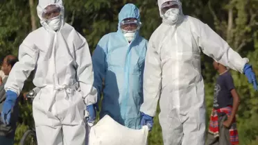 Hindistan’da hayvanat bahçeleri kuş gribi nedeniyle kapatıldı