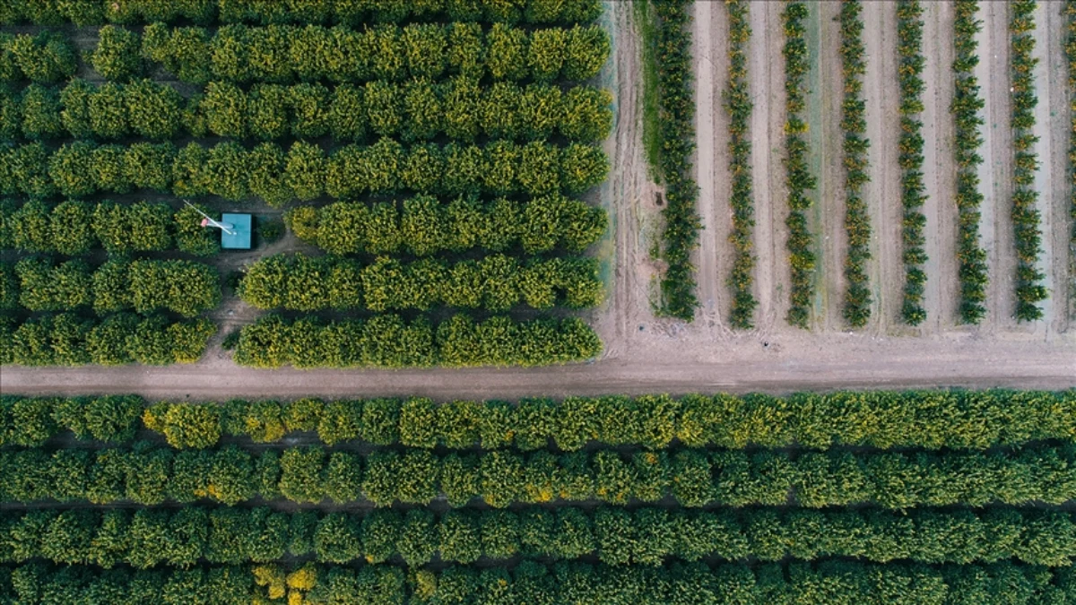 Gıda güvenliği için kırsal dönüşüm şart