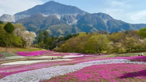 Turistler için dünyanın en iyi ülkesi belli oldu