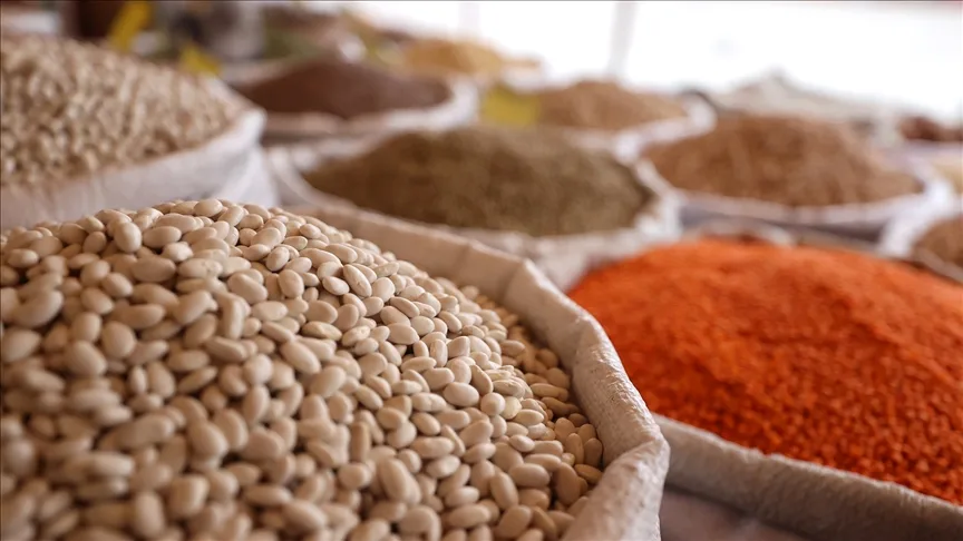 Türkiye’nin hububat ihracatı 5 ayda 5,2 milyar dolar oldu