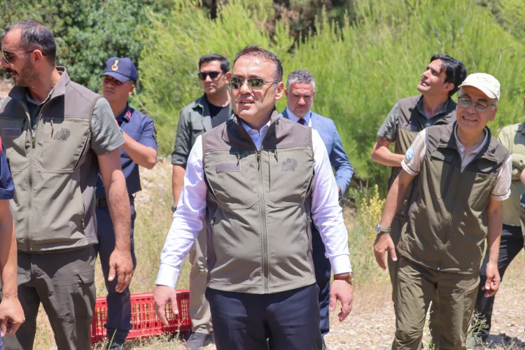 Doğal Yaşam İçin 300 Kınalı Keklik Bilecik’te Doğaya Salındı