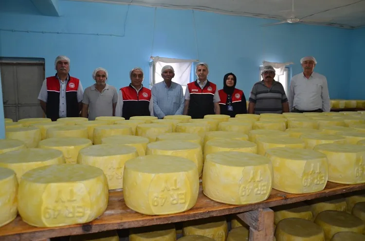 Muş’ta üretilen eski kaşar peyniri ülkenin dört bir yanına pazarlanıyor