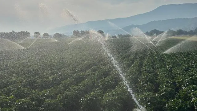 IPARD kapsamında sulama harcamalarının yüzde 75’ine kadar hibe veriliyor