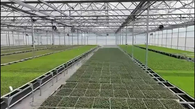 Bafra ve Çaycuma Sera OTB’lerinde üretime başlandı