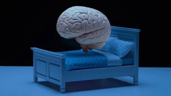 Rüya Görmenin Amacı Ne?