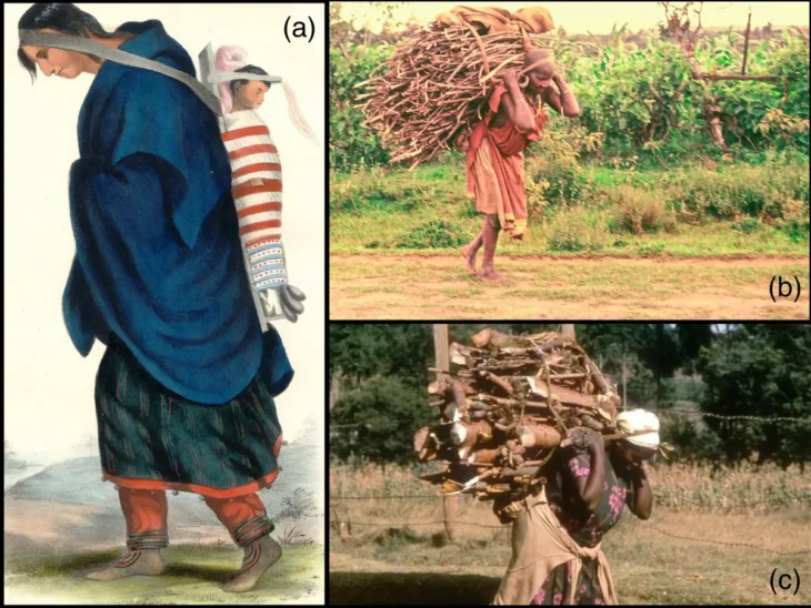 4.000 Yıl Öncesine Dayanan Seçkin Bir Nubyalı Kadının Cenazesi, Tümsek Kullanımının En Eski Kanıtını Ortaya Koyuyor