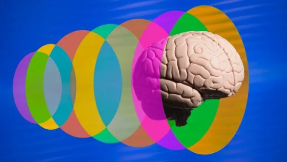 Beynimiz Durduğunda Neler Oluyor?