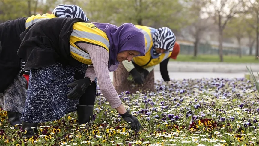 Samsun’da atıkların geri dönüşümüyle yılda 66 bin ağacın kesilmesi önleniyor
