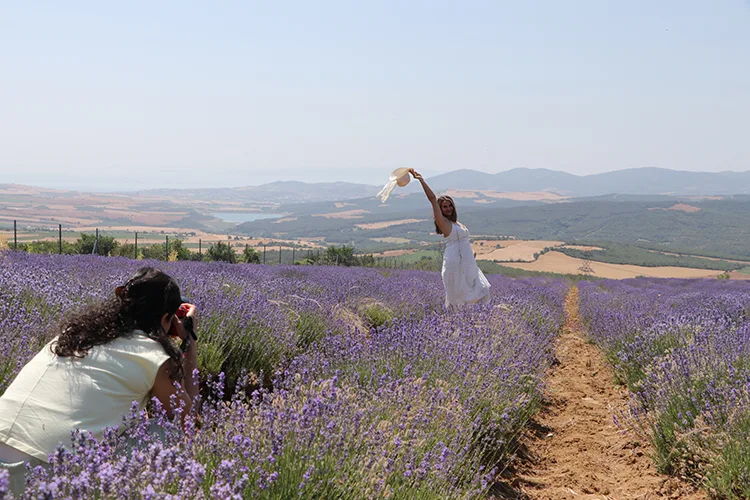 Tekirdağ’da lavanta tarlaları fotoğraf tutkunlarını ağırlıyor