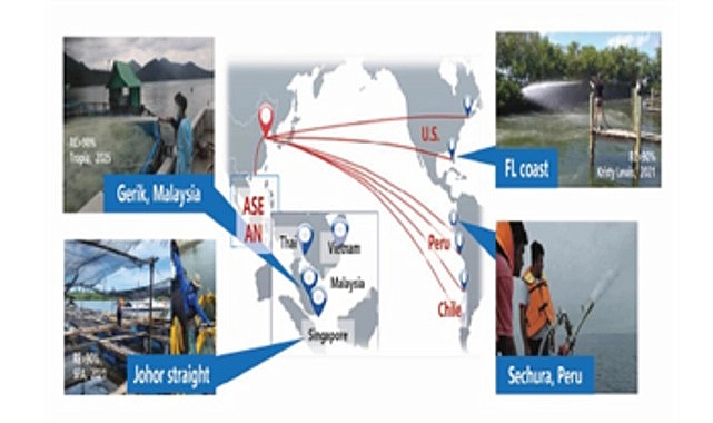 Çinli bilim insanı Dr. Yuan’dan İzmir Körfezi için önemli mesajlar