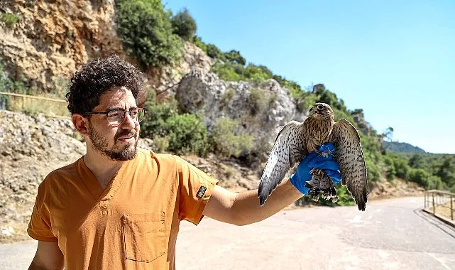 Yetişkinliğe erişen kerkenez yavruları doğal ortamlarına bırakıldı