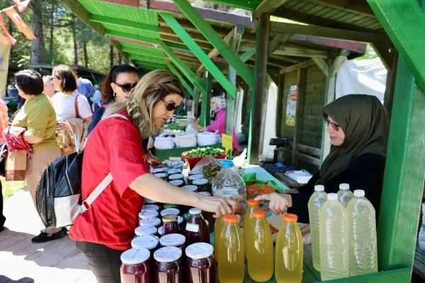 Yenilebilir otlardan yapılan lezzetli yemekler görücüye çıktı.