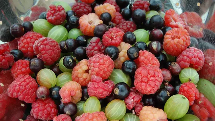 Çayın yanında mutlaka tüketin! Buruş buruş damarları genişletiyor, kan şekerini terazi gibi dengeliyor