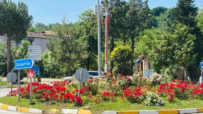 Salıpazarı’nda Güller Açtı: İlçe Rengarenk Oldu