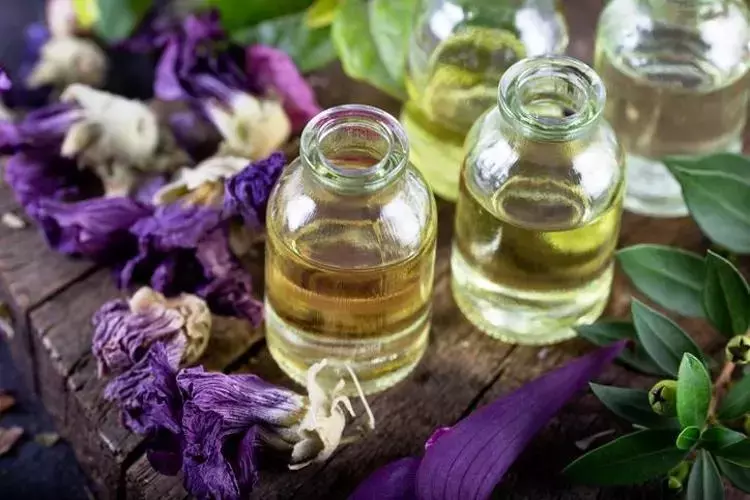 Alman papatyası: Egzama, mantar ve kaşıntının kökünü kazıyor! ciltleri 10 yaş gençleştiriyor!