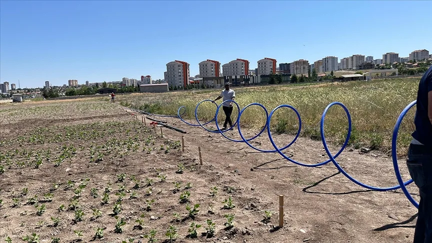 Üniversite ve fabrikaların atık suyu ile gıda atıkları ekonomiye kazandırılıyor