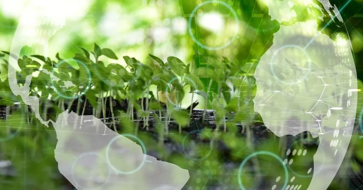 İklim Kanunu Teklifi’nin beş maddesi daha Meclis’te kabul edildi.