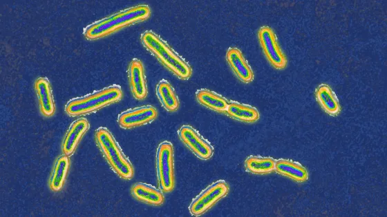 Bakterileri ‘Otostop Yapıp’ Gezerken İzleyin