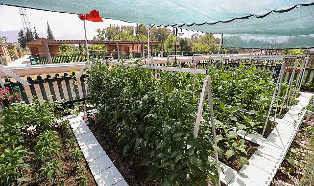 En Güzel Tasarım ve Uygulama Yarışması’nda ödüller sahiplerini buldu