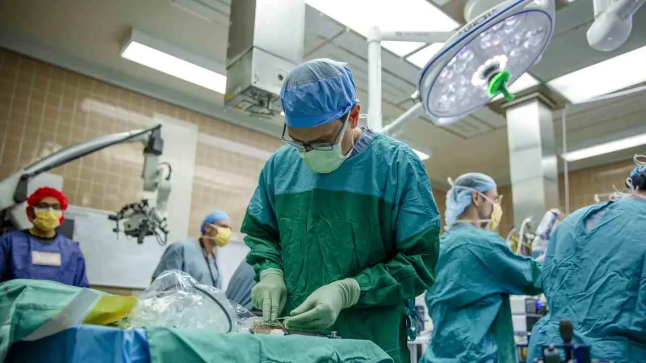 Neuralink’e Rakip Beyin Çipi Girişimi Paradromics, İlk Kez Bir İnsan Beynine Çip Yerleştirdiğini Açıkladı