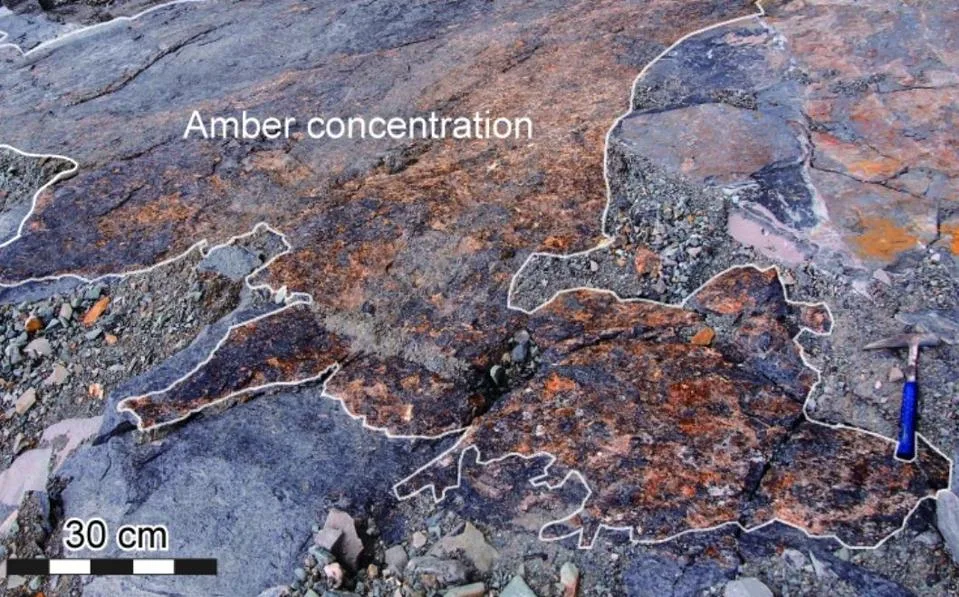 Kretase Kehribar Yatakları Büyük Ölçekli Tsunamileri Ortaya Çıkardı