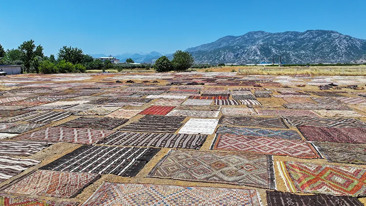 Antalya’nın “halı tarlaları”na el dokuması halı ve kilimler serilmeye başlandı