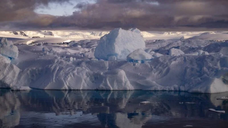 Dünya’nın buzlu geçmişi: Yaşam nasıl hayatta kaldı?