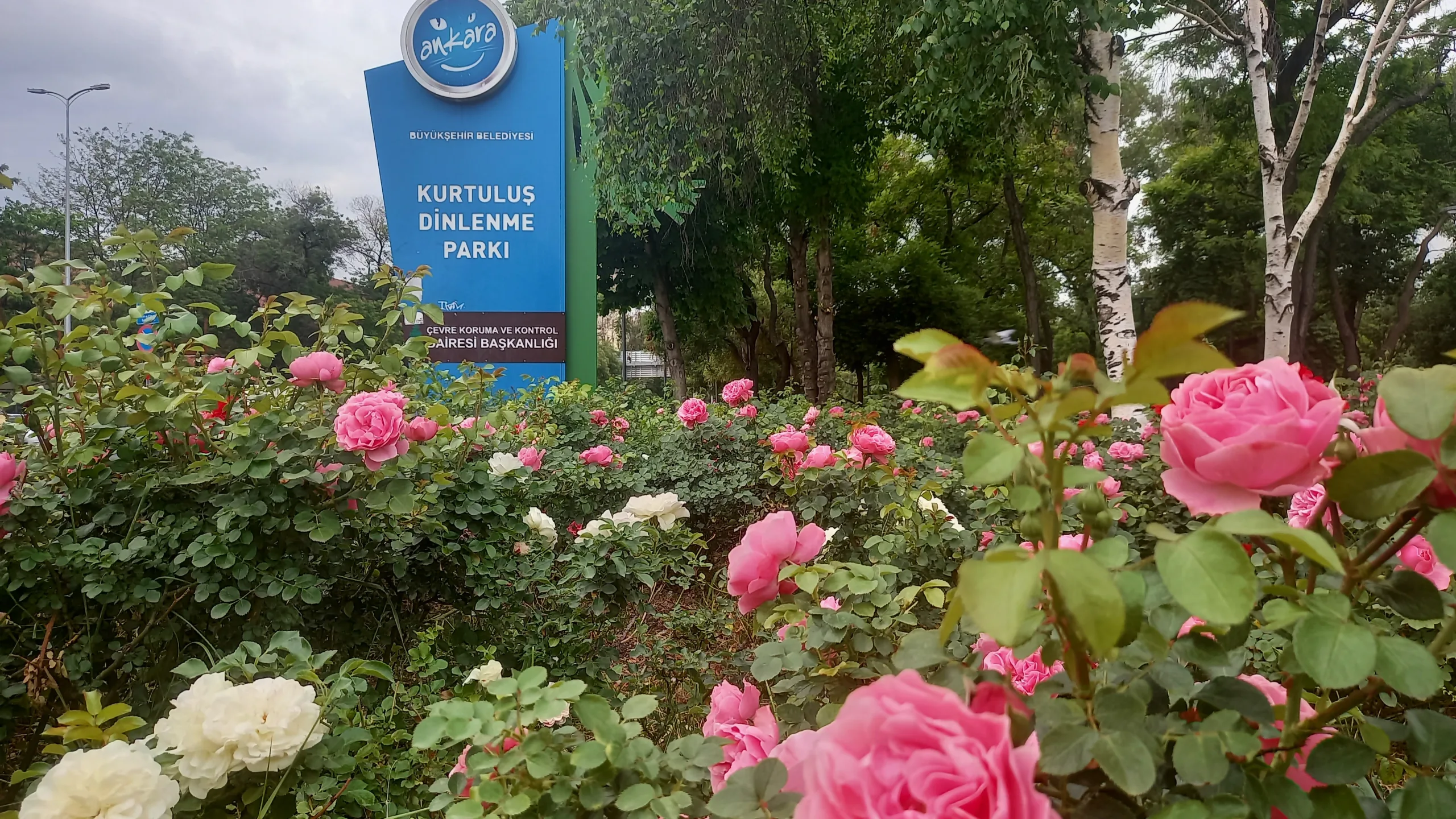 Kurtuluş Parkı