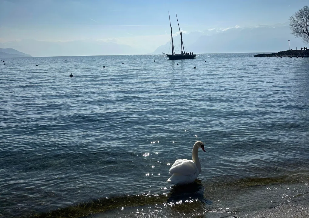 Alplerin Gölgesinde Pırıl Pırıl Bir Göl: Cenevre Gölü