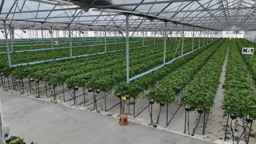 Bafra Sera OSB 1500 kişiye iş imkanı sağlayacak