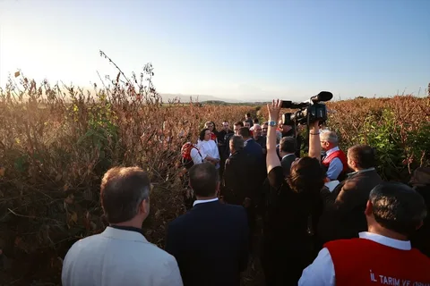 TBMM Komisyonu Mersin’de Zirai Donu İnceledi