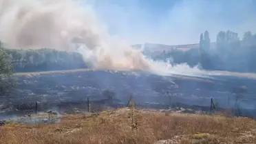 Çorum Alaca’daki Yangında Tarım Arazileri ve Evler Zarar Gördü