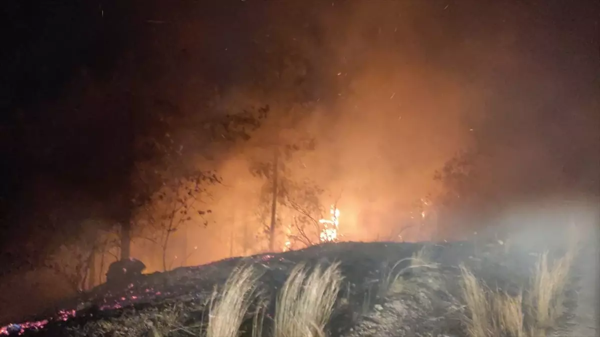 Osmaniye’de Orman Yangını Kontrol Altına Alındı